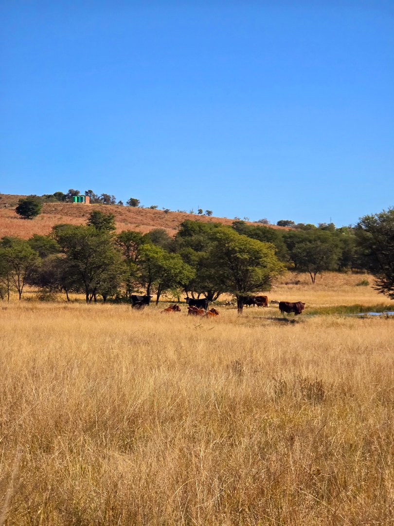 Commercial Property for Sale in Klerksdorp Rural North West